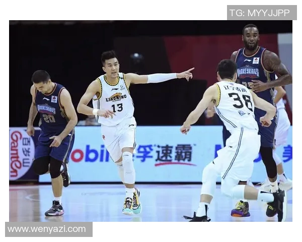 辽宁男篮对阵同曦队的精彩对决回顾与分析2017赛季表现